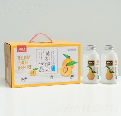 ���������������Ʒ300ml��12ƿ