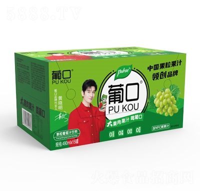 �Ͽڹ�����֭����֭����490mlX15�޴���