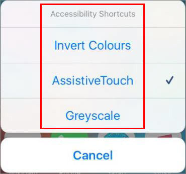 How to Change iOS Devices Screen Color to Greyscale or Black & White