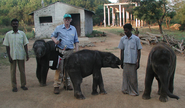 Dr Gary Hayward and elephants in Vandalur Zoo in Chennai, India