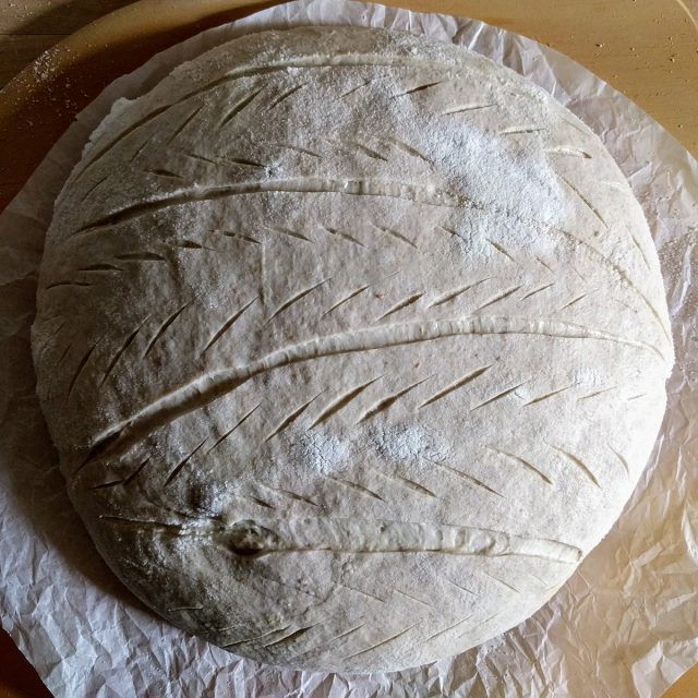 sourdough bread | pepperknit