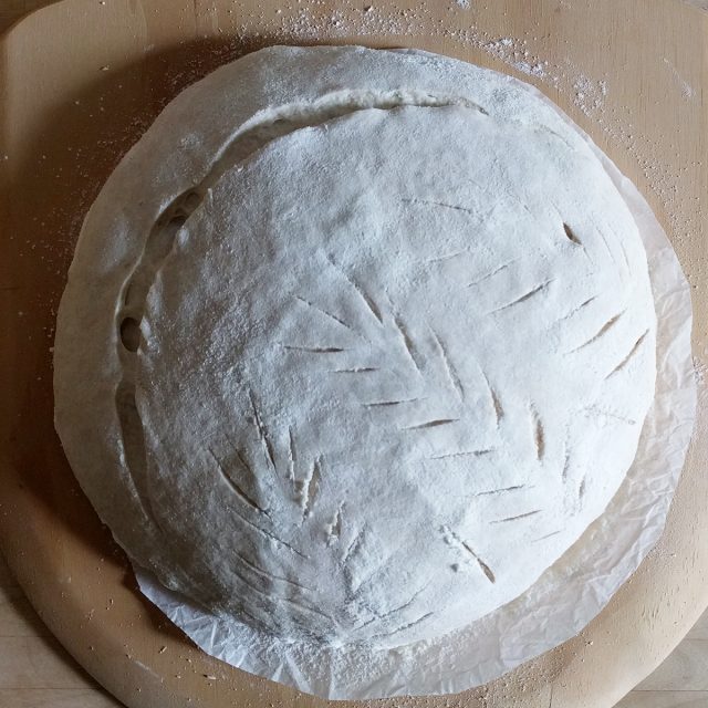 sourdough bread | pepperknit