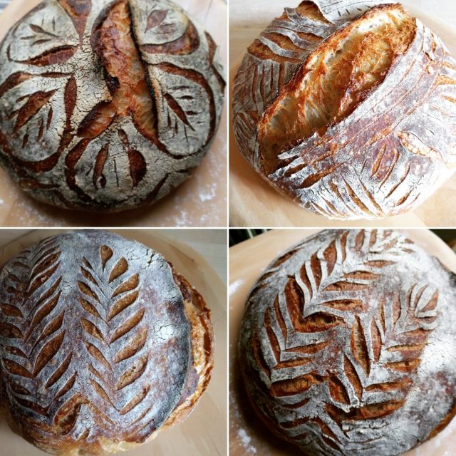 sourdough bread | pepperknit