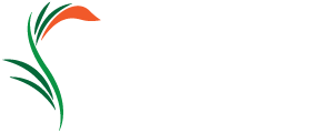 Zumor Virág