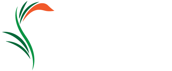 Zumor Virág - virágcsokrok, virágüzlet