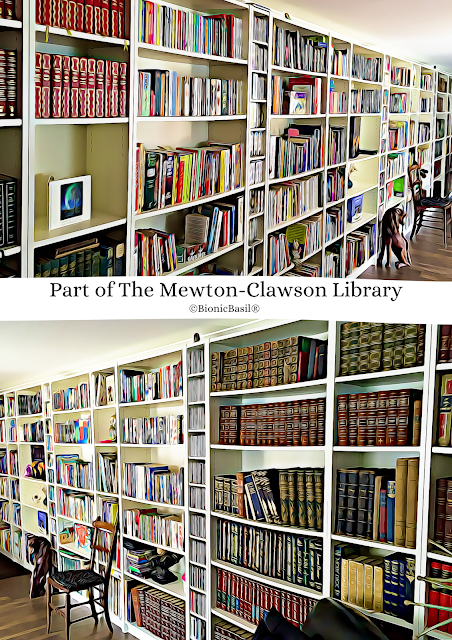 Part of The Mewton-Clawson Library ©BionicBasil® A split image shows two sections of a large home library. The top section features long white bookshelves filled with colourful books and magazines, with a cat walking along the wooden floor in front of them. The lower section shows another area lined with shelves of older, leather‑bound volumes and encyclopedias, with chairs placed nearby for reading. Text in the centre reads “Part of The Mewton‑Clawson Library ©BionicBasil®,” highlighting the cosy, well‑stocked library setting.