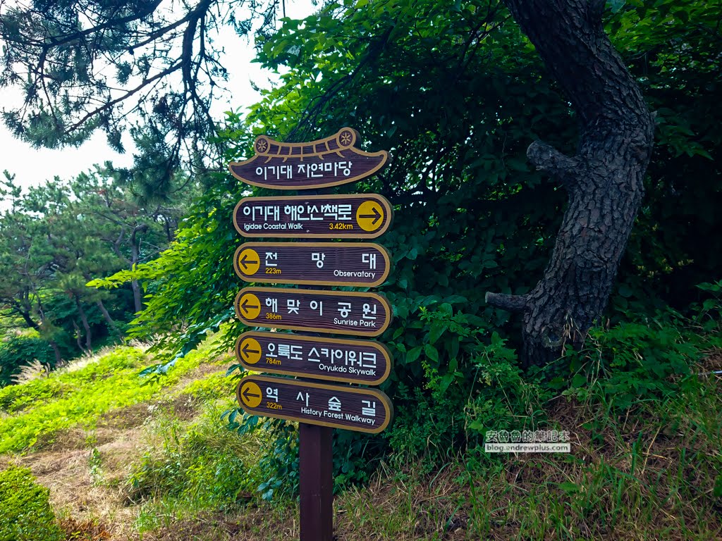 二妓台健行,釜山景點,二妓台海岸風景