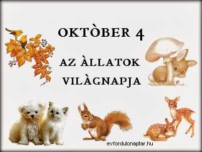 Október 4 - Az állatok világnapja
