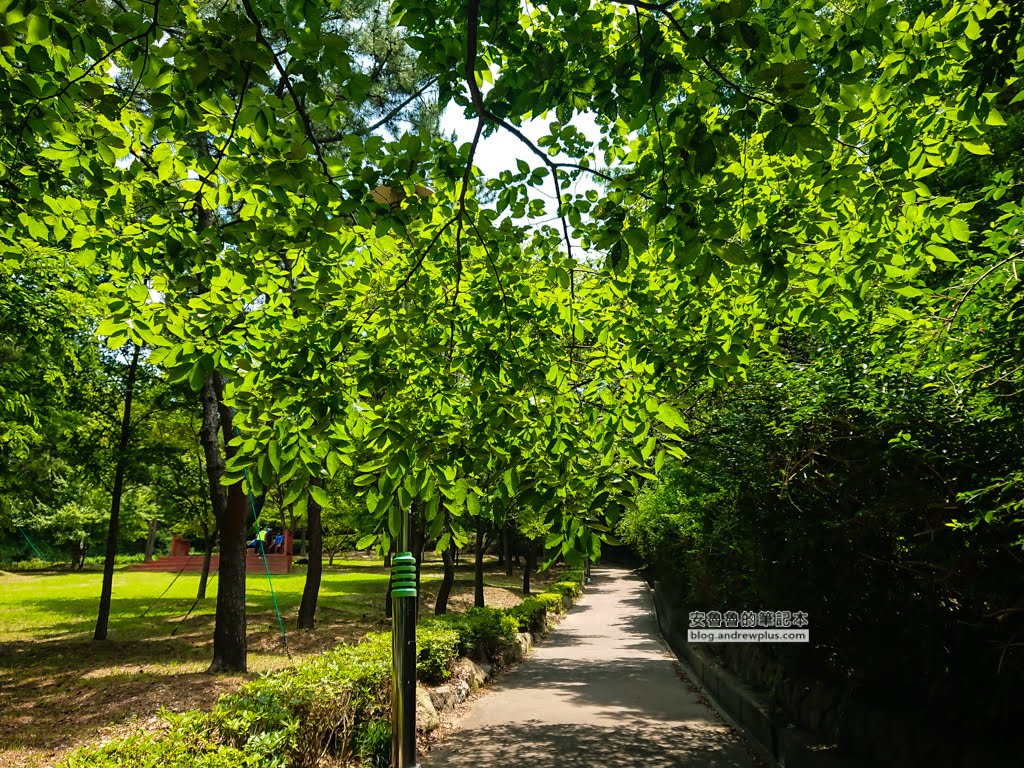 二妓台健行,釜山景點,二妓台海岸風景