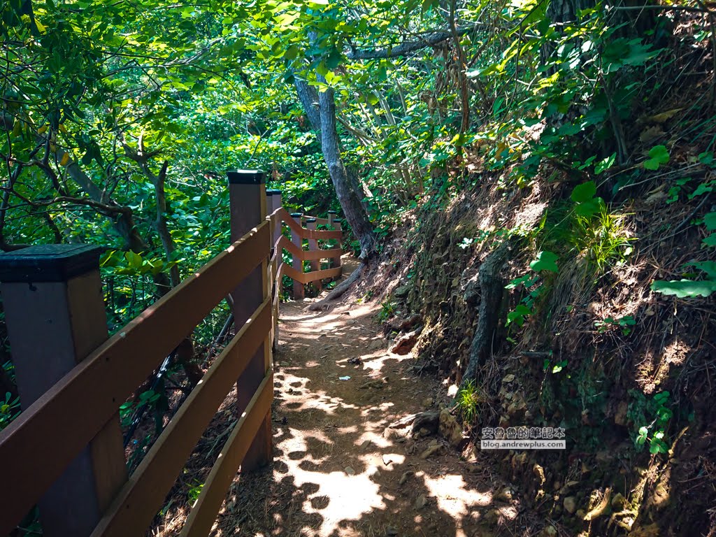 二妓台健行,釜山景點,二妓台海岸風景