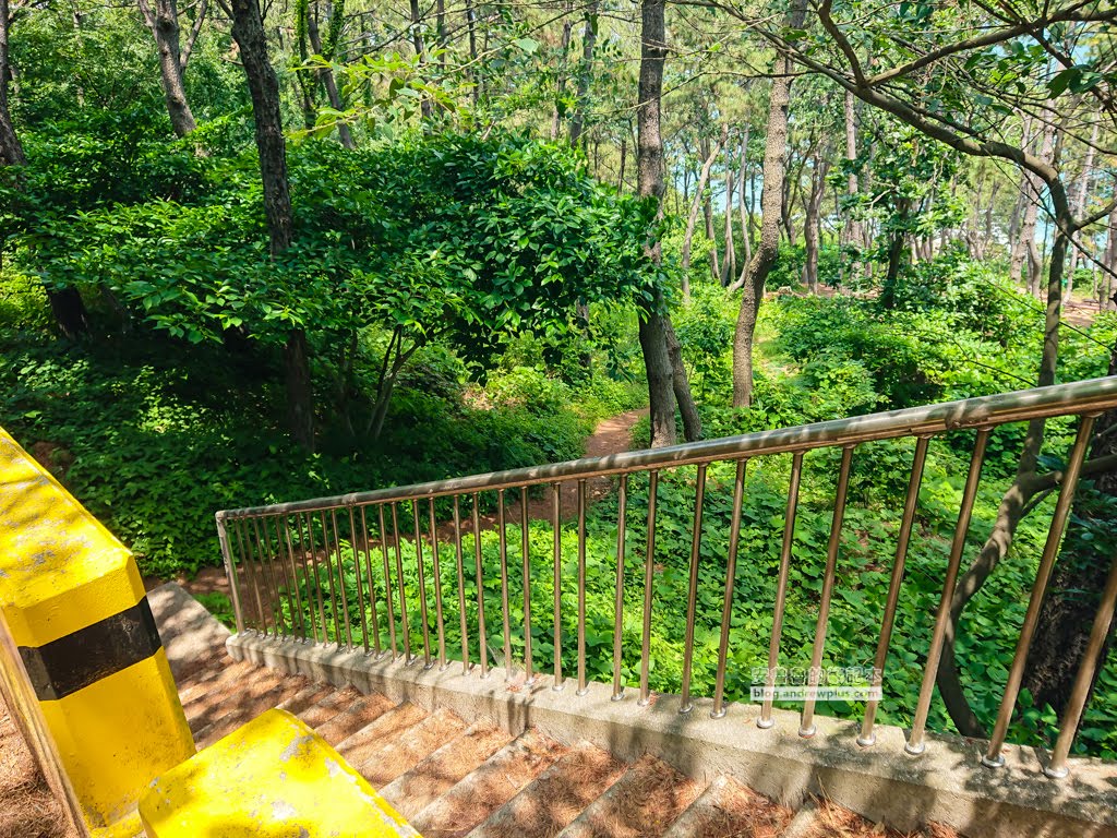 二妓台健行,釜山景點,二妓台海岸風景