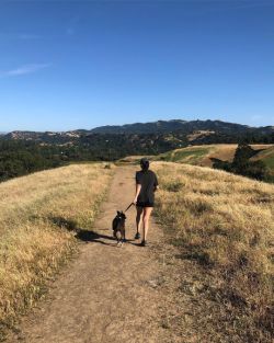 thankful that the days are longer since it takes Nick and Sonny hours to leave the house (at Briones - Lafayette Ridge Trail)
https://www.instagram.com/p/CAjvTIrhMzv/?igshid=wfq85wpvwape