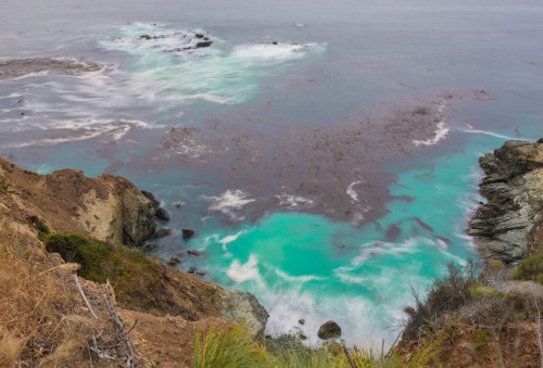 Pacific Stew