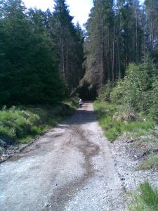 08 on the Mourne Way Jun13
