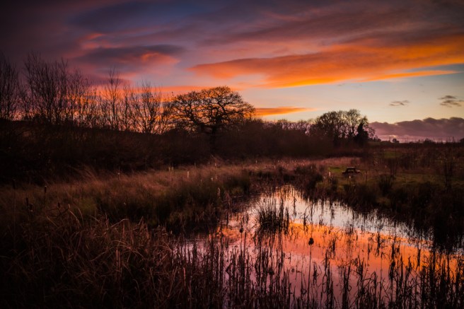 Painted Sky