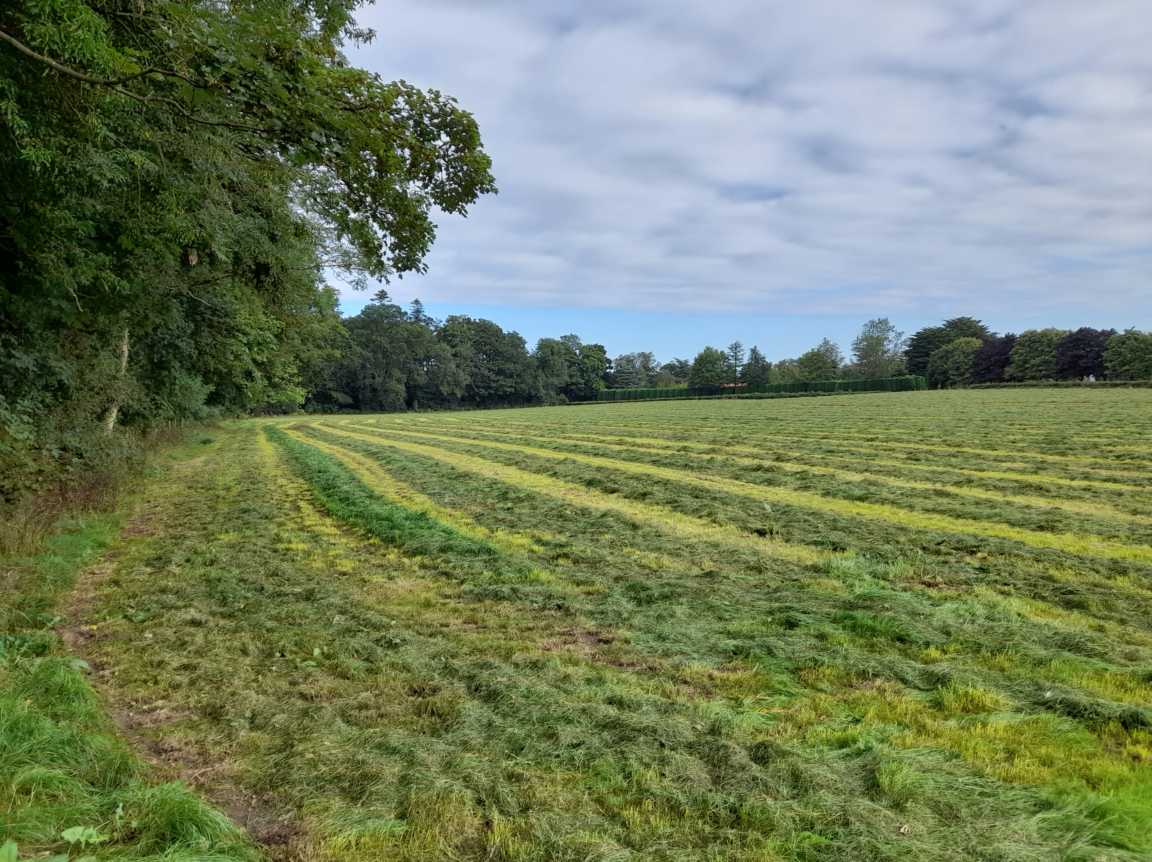 september lines 1