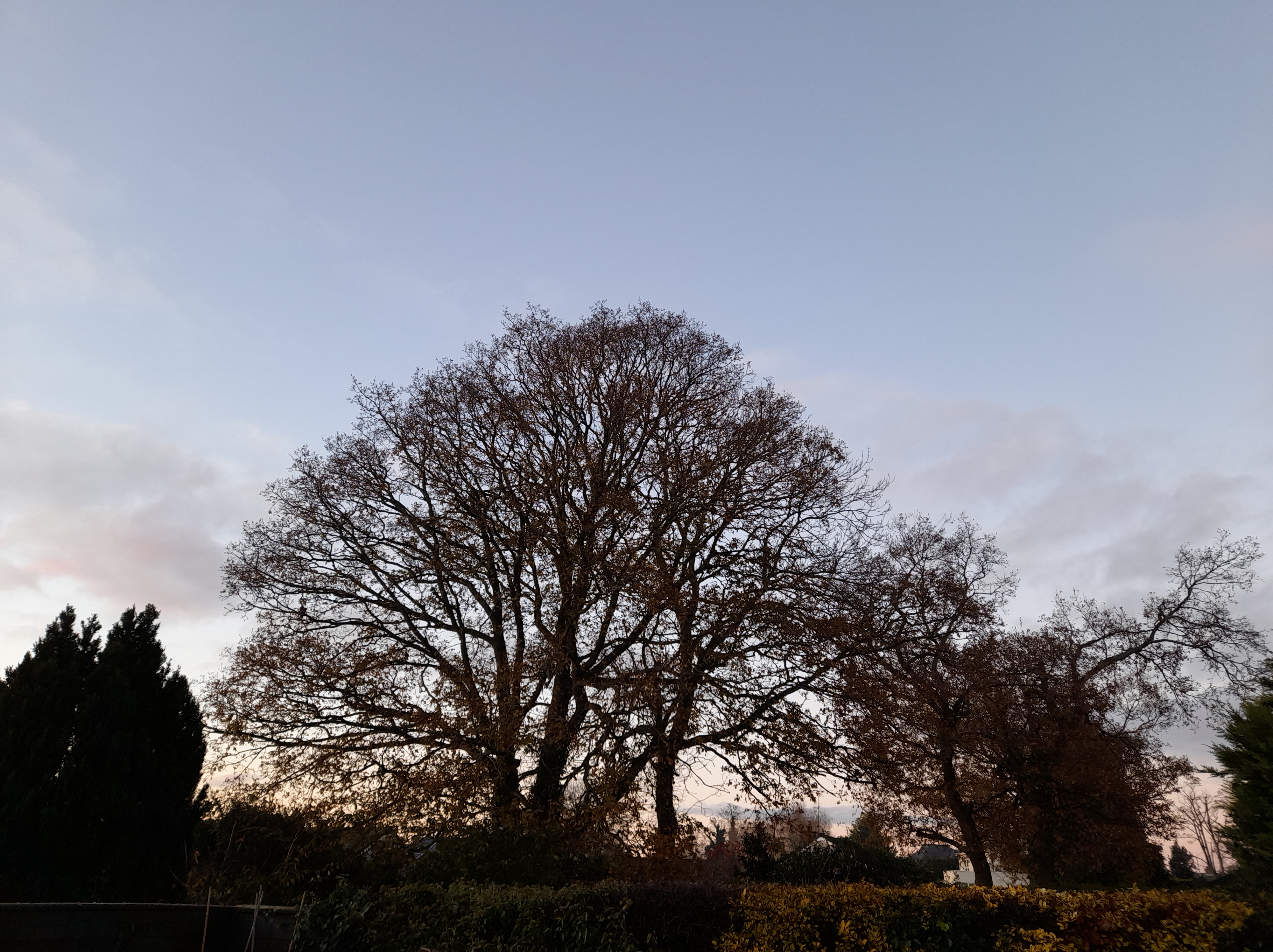 just after sunset