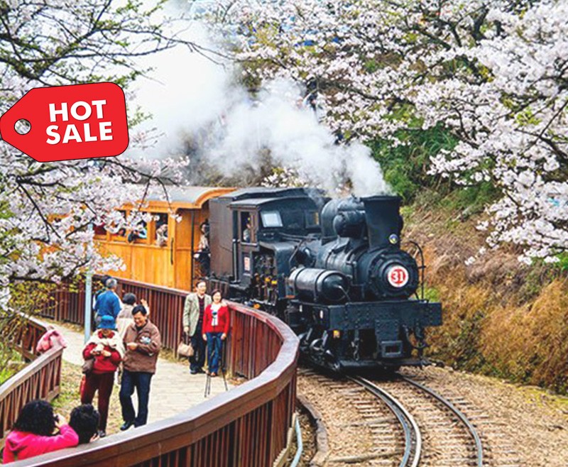5-Day tour Taiwan Private Tour - Taipei. Cingjing. Sun Moon Lake. Taichung. Taipei