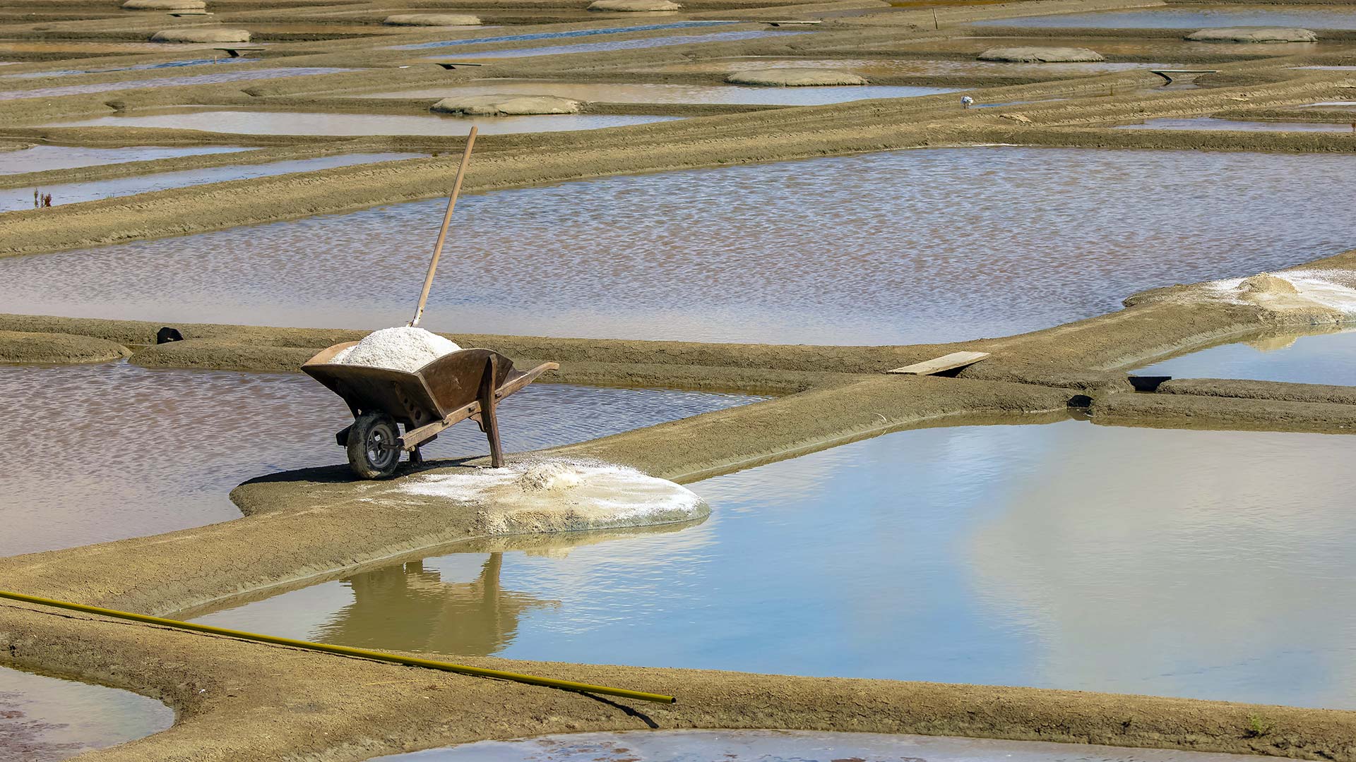 iStock-1460465933H Dans les marais salants de Noirmoutier (Pays de la Loire, France)