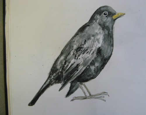 sketchbook birds 1