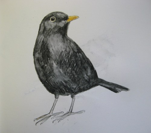 sketchbook birds 9