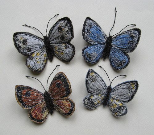 butterflies 23rd June 2013 007