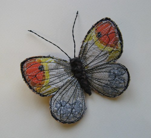 butterflies 8th july 010