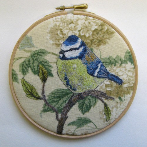 bluetit on stitched branch 001
