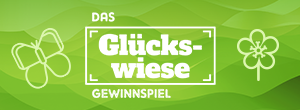 Online Exklusiv Gewinnspiel