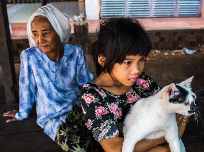 The Cat's Carers