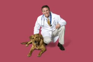 من نحن 2 العيادات البيطرية و المستشفيات البيطرية - أليفكم