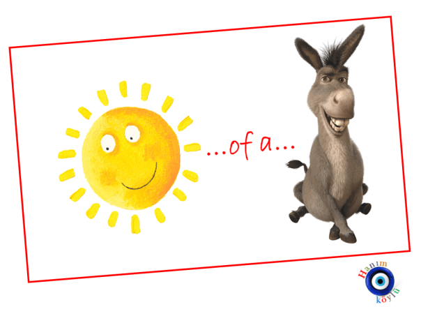 SUN of a DONKEY
