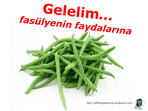 Fasülye (Blog new ver)