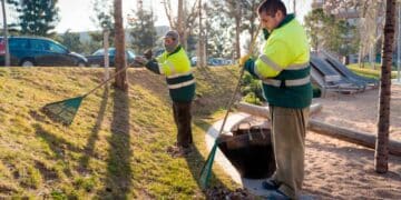 El Servicio Andaluz de Empleo anuncia que se buscan jardineros en distintos municipios de la geografía andaluza: con incorporación inmediata.