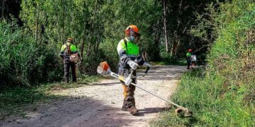 Grupo Eulen abre proceso de selección para incorporar a operarios forestales en diversas provincias de Andalucía.