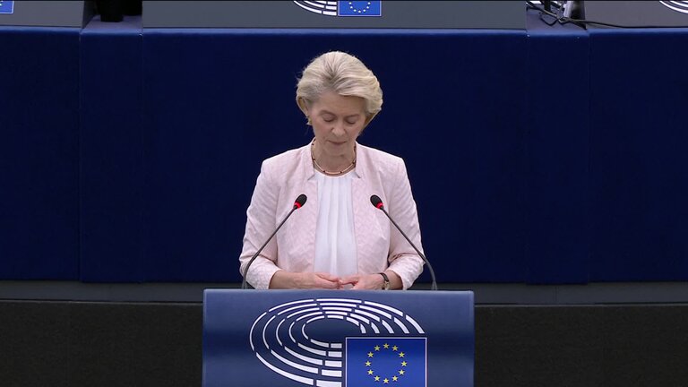 Statement by Ursula VON DER LEYEN, President of the European Commission, candidate for a second mandate 2024-2029: closing statement by Ursula VON DER LEYEN