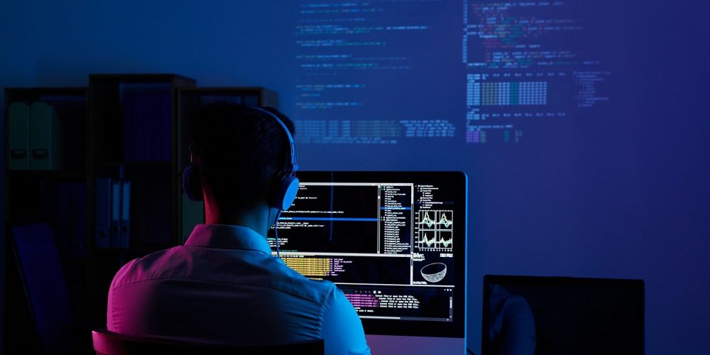 ADVANTAGES AND DISADVANTAGES OF BEING A DEVELOPER