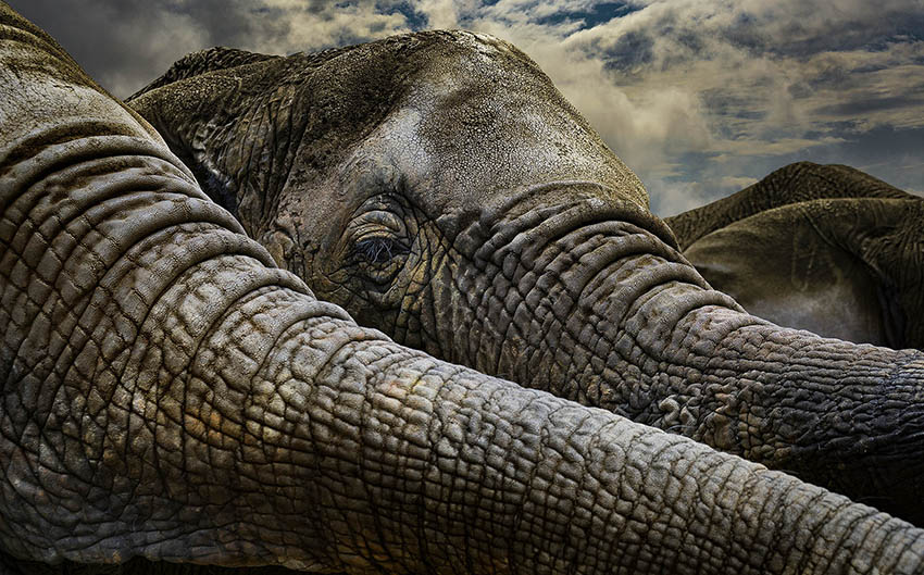 arthur_los_fotografie-SA