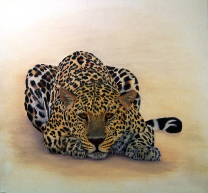 129 Leopard