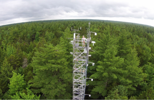 A faraway man stands on top of a tall eddy covariance tower jutting out of a green forest