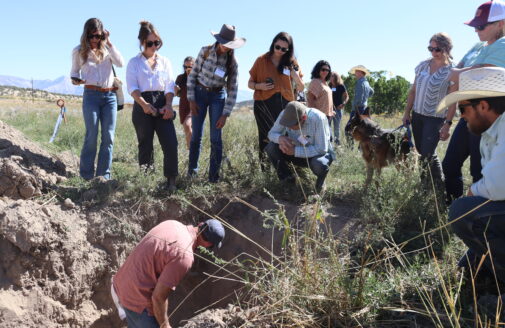 workshop attendees gather around a soil pit in which Dr. Sanderman points out soil layers