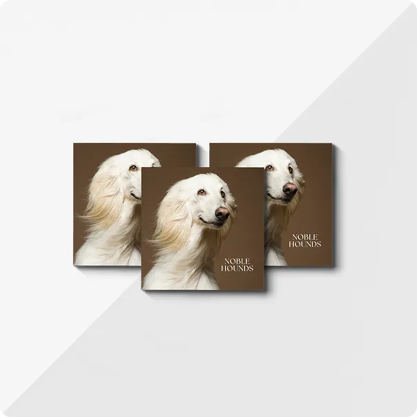 Trois livres photos carrés intitulés « Doodles » avec l'image d'un chien au poil soyeux sur la première de couverture.