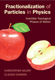 Fractionalization of Particles in Physics