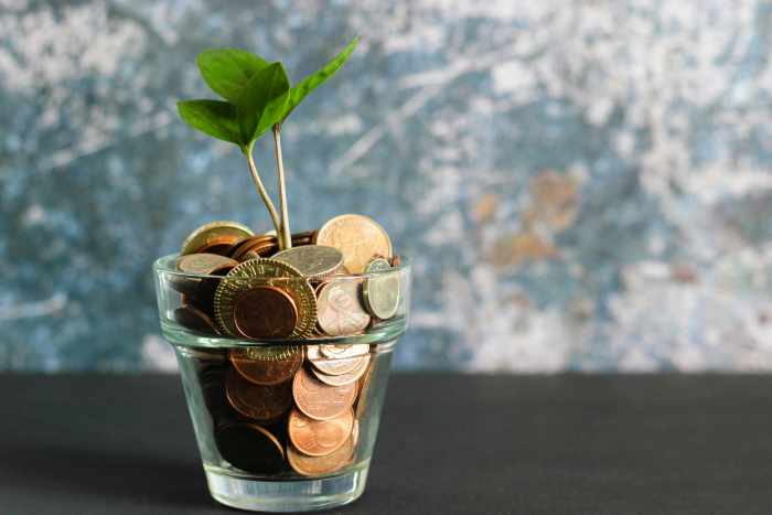 Plant in een glas met geldstukken