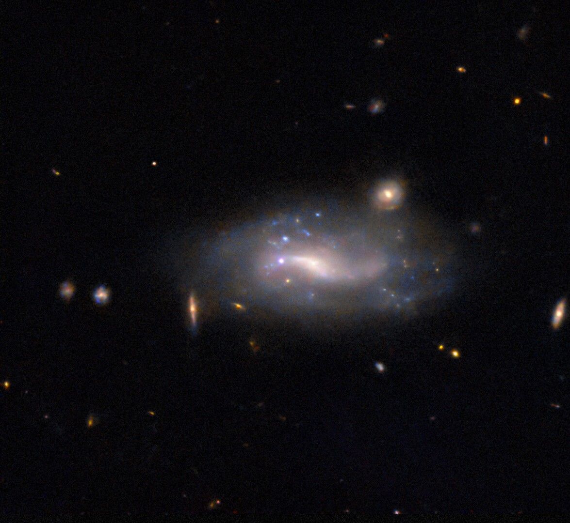 Hubble Goes Supernova Hunting