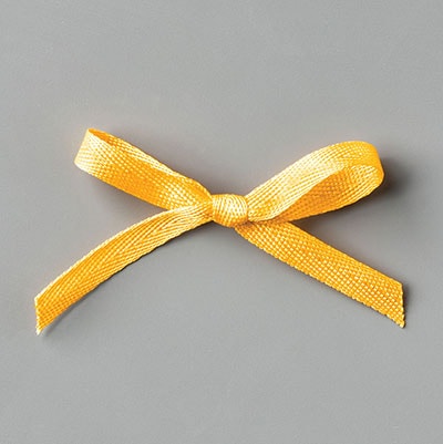 Bumblebee 1/4" (6.4 Mm) 2020–2022 In Color Ribbon Bumblebee 1/4" (6.4 Mm) 2020–2022 In Color Ribbon