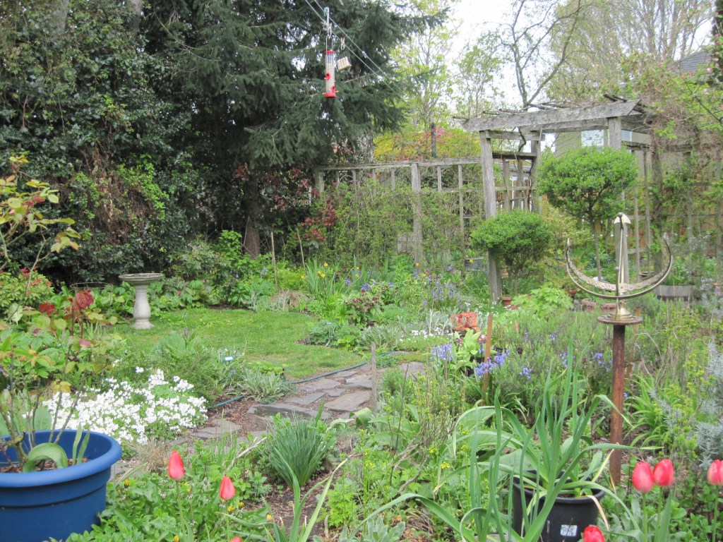 Back garden, April 2022