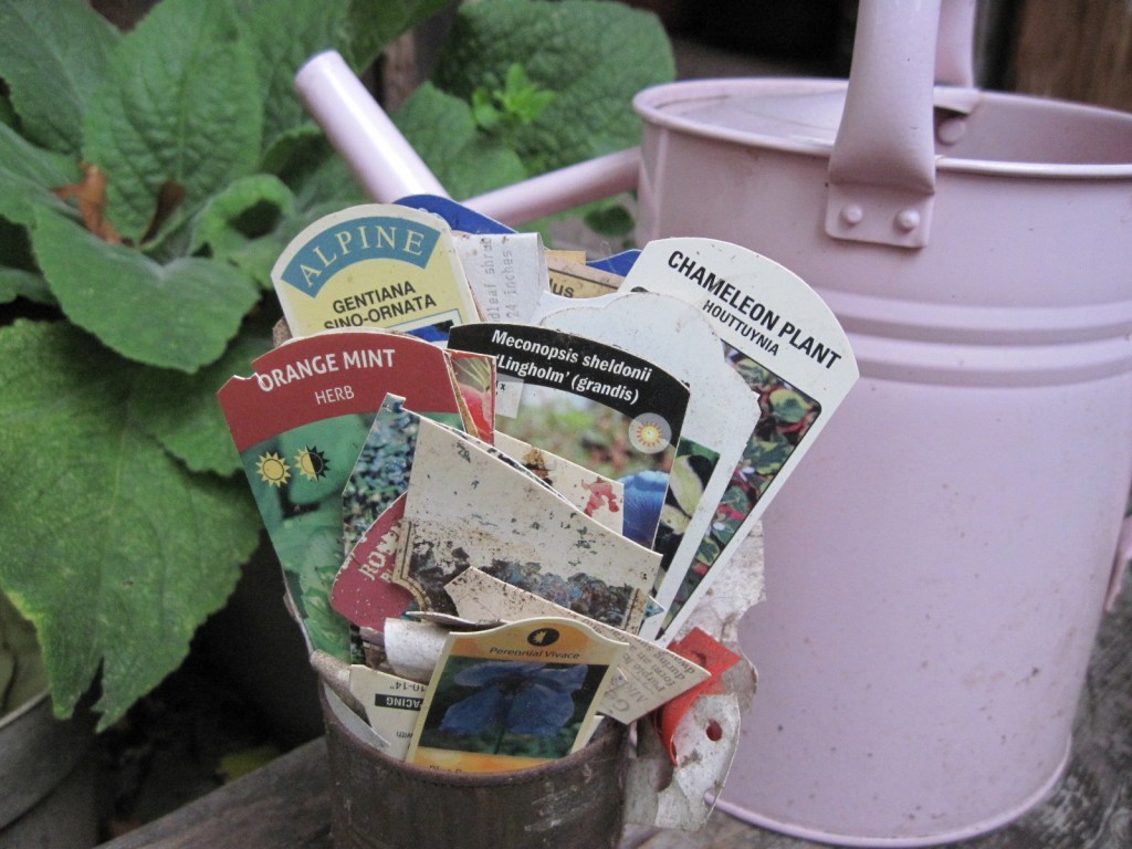 Soup can stuffed with labels from deceased plants