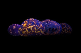 Yooperlite: The Mystery Behind Its Meaning, Surprising Benefits, and Unique Properties!