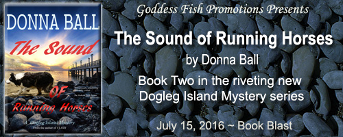 BB_TheSoundOfRunningHorses_Banner copy